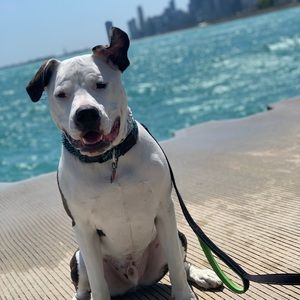 Meet your Posher, Eddie